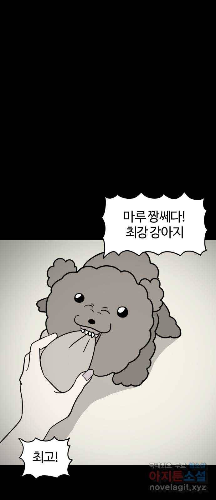 마루는강쥐 14화. 나 왜 못 알아봐? 3