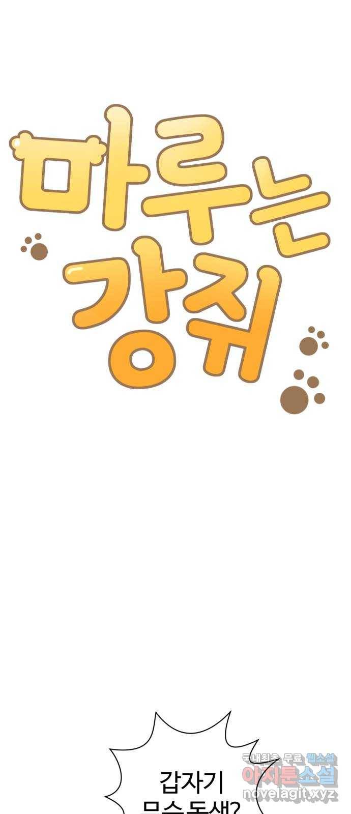 마루는강쥐 14화. 나 왜 못 알아봐? 9
