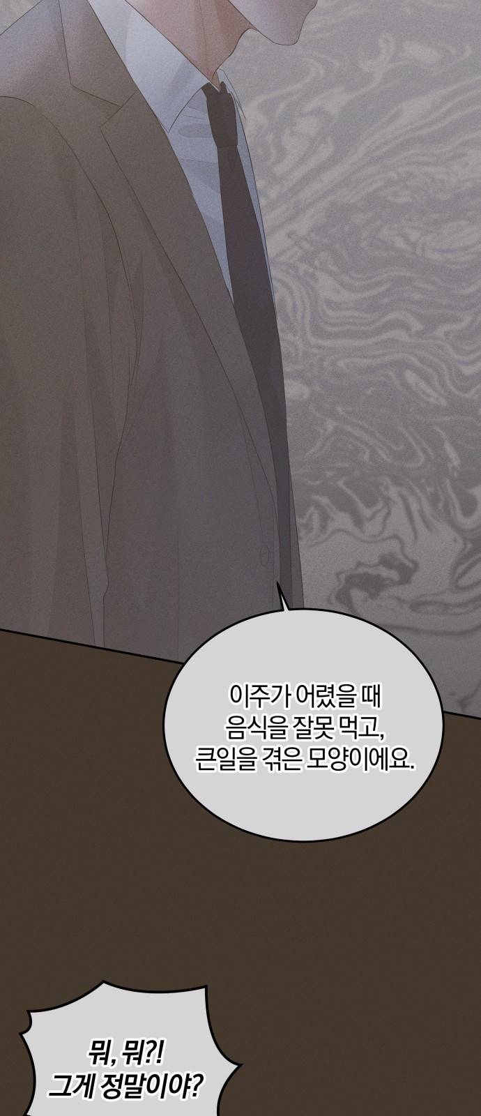완벽한 결혼의 정석 64화 47