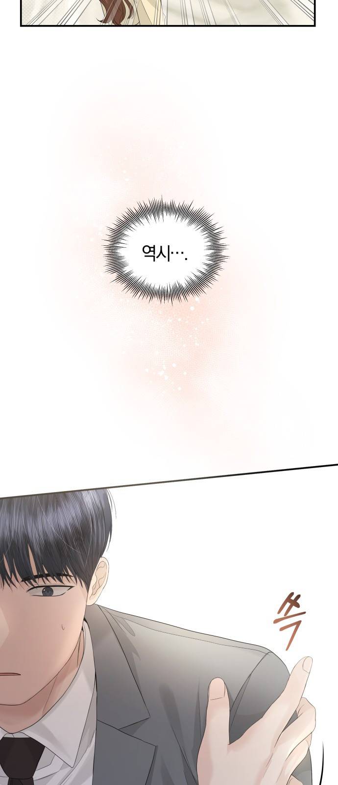 완벽한 결혼의 정석 64화 70