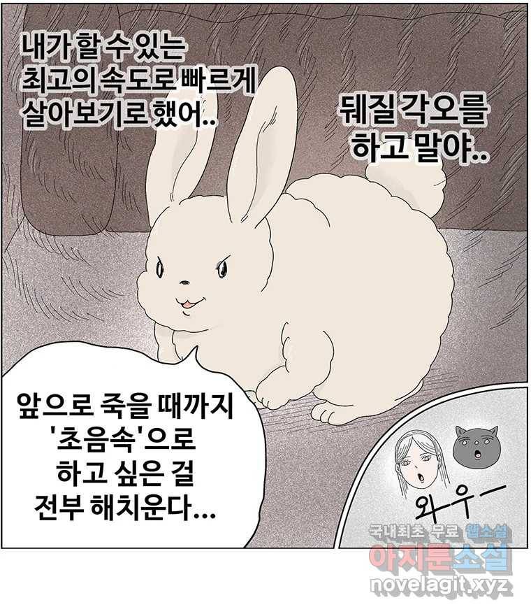 이상징후 64화. 토끼 사람(1) 50