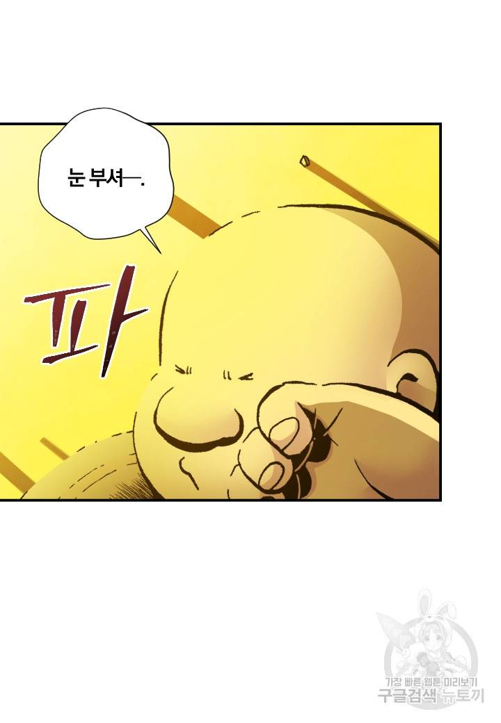 강철의 연금술사  237화 63