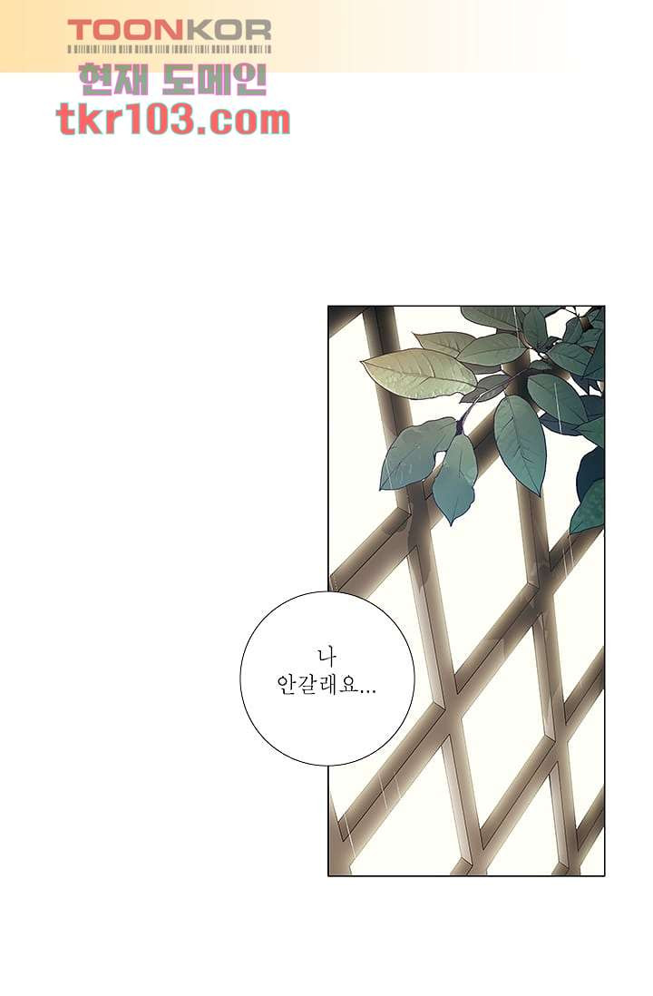 케덴독 27화 3