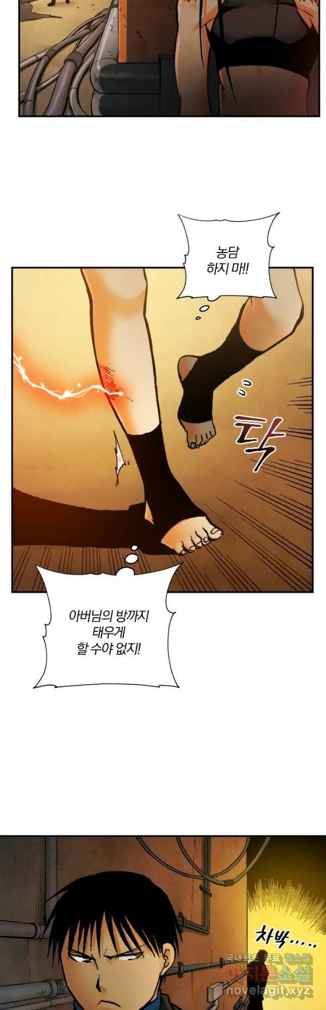 강철의 연금술사  254화 6