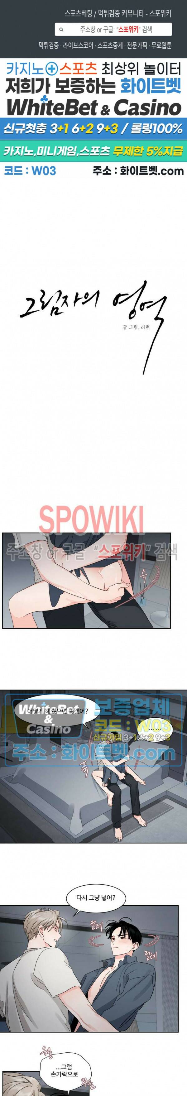 그림자의 영역 19화 1