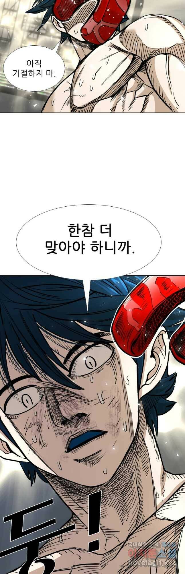 샤크4 41화 4