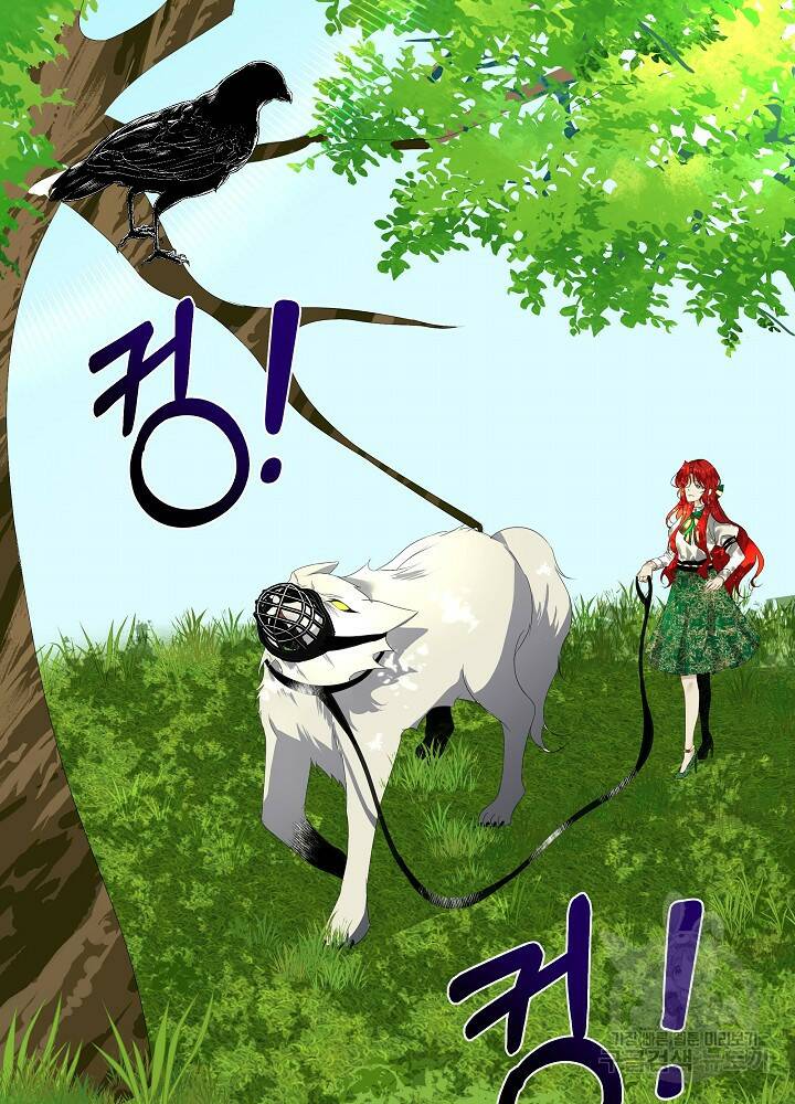 남주를 임시보호 중입니다 6화 33