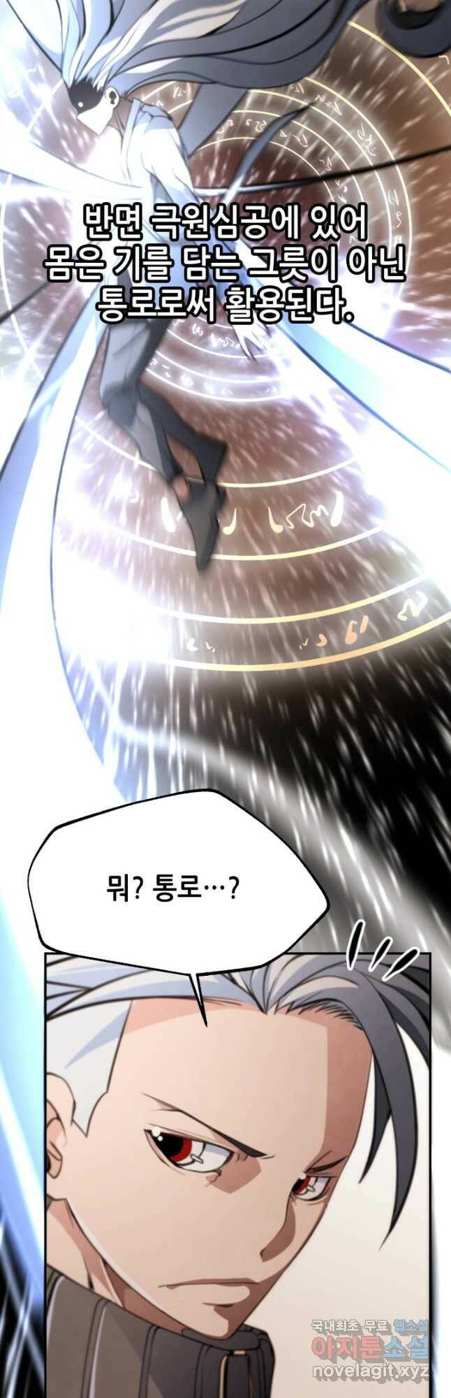 누가 무림맹주를 죽였나 49화 8