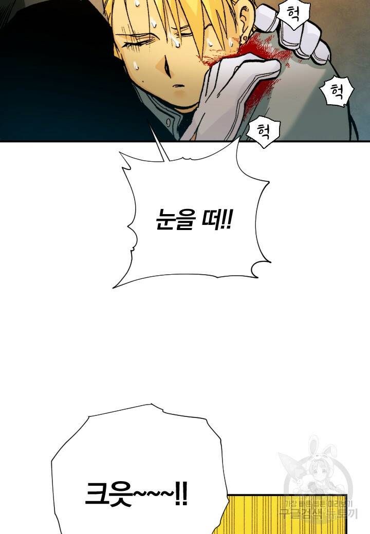 강철의 연금술사  272화 67
