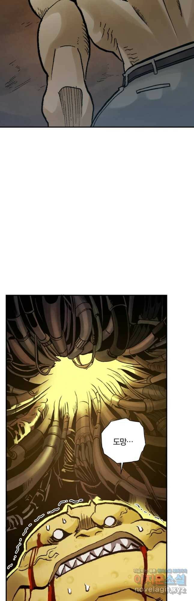강철의 연금술사  273화 23