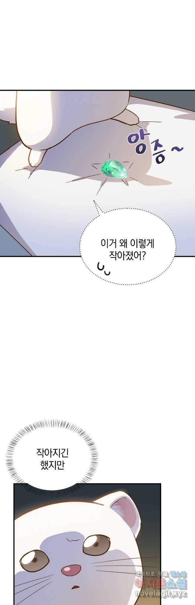 흰 족제비 양에게 죽음을! 49화 3