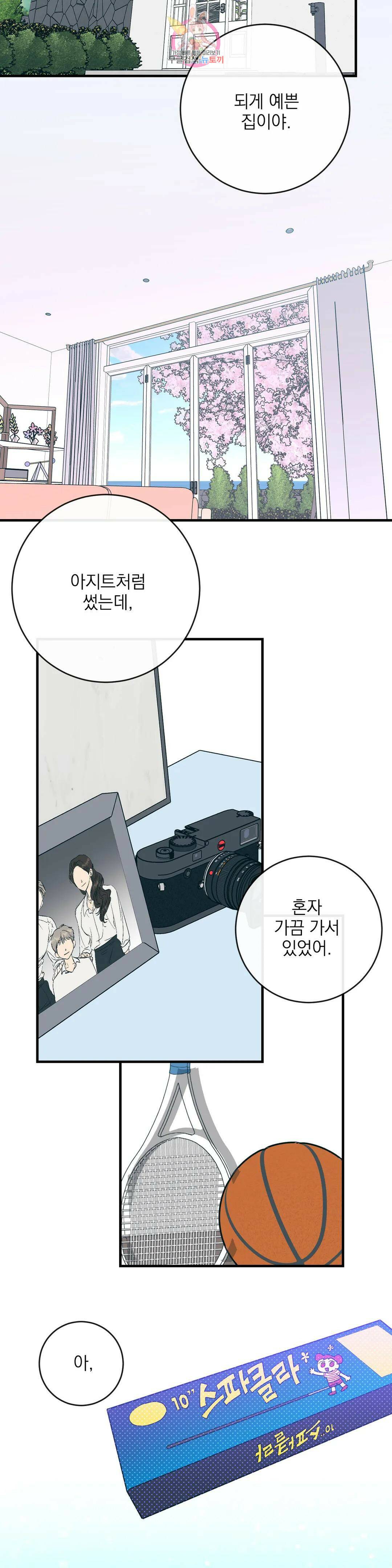 러브 인 키치 50화 최종화 2