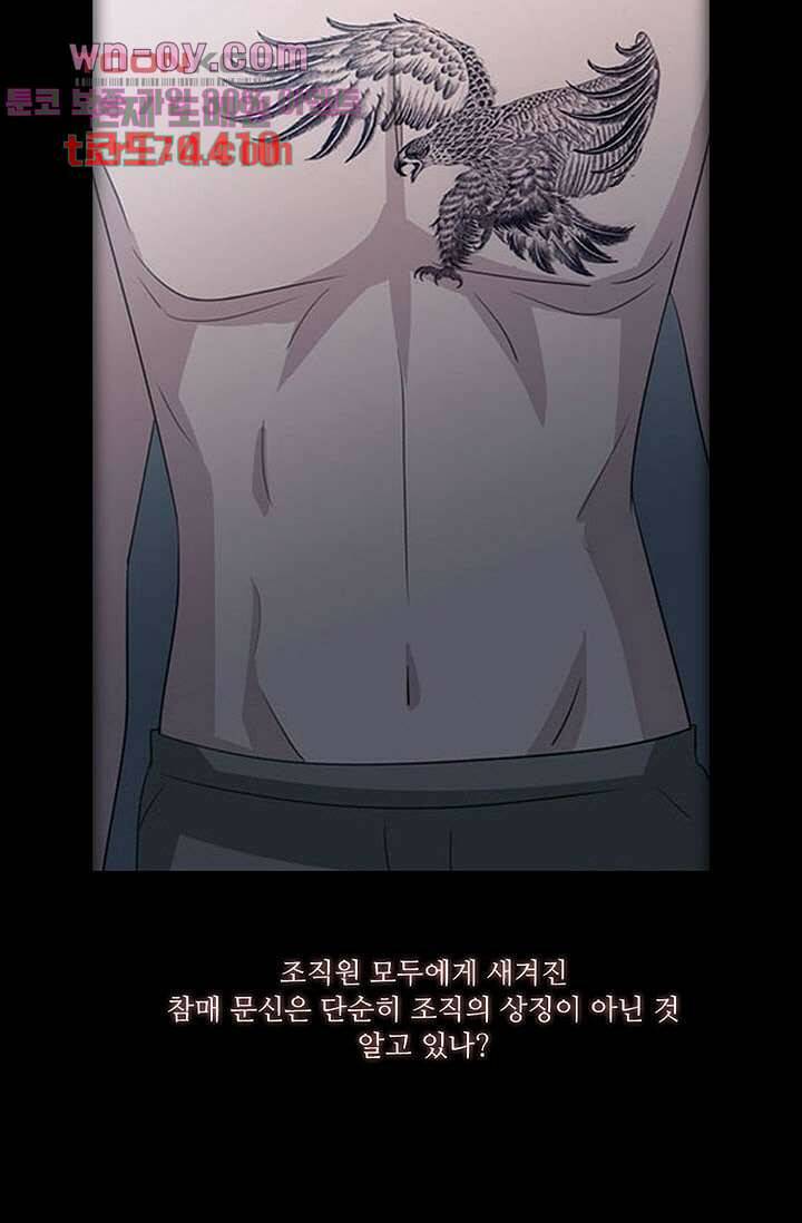 인피의상 61화 5