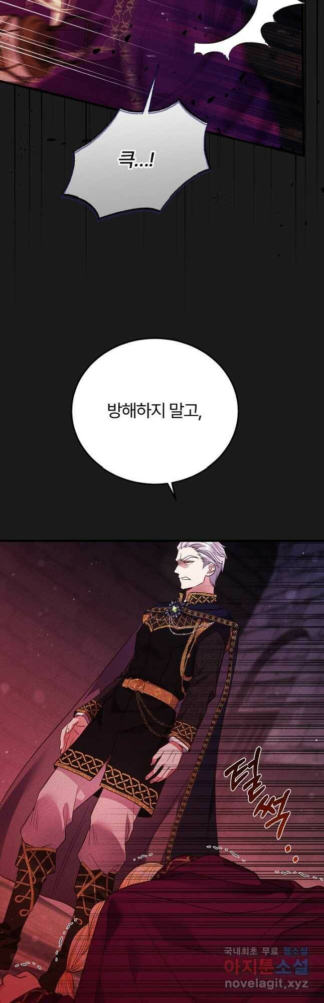 괴물 황태자의 아내가 되었습니다 70화 39