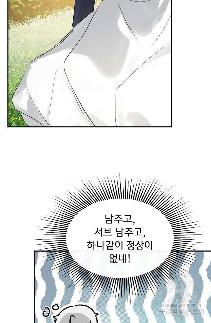 정체를 숨긴 서브남주에게 잘못 걸렸다 18화 19