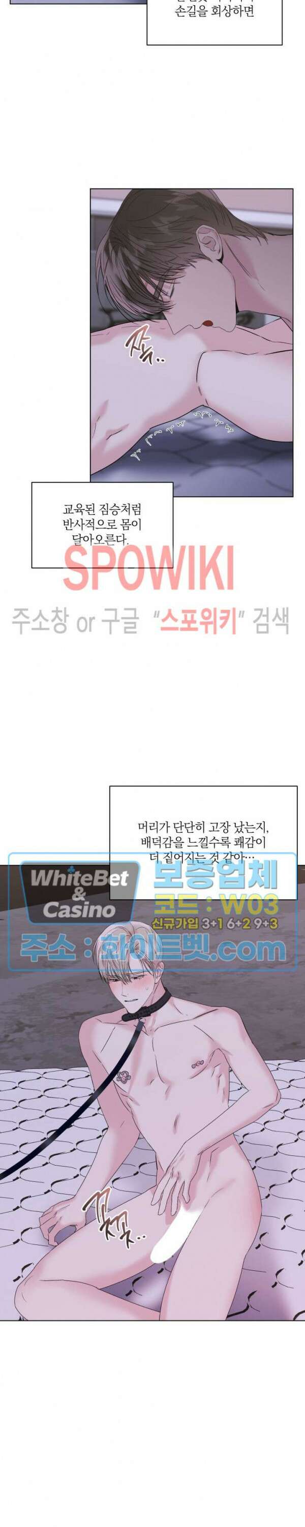애정을 죽이는 법 11화 3