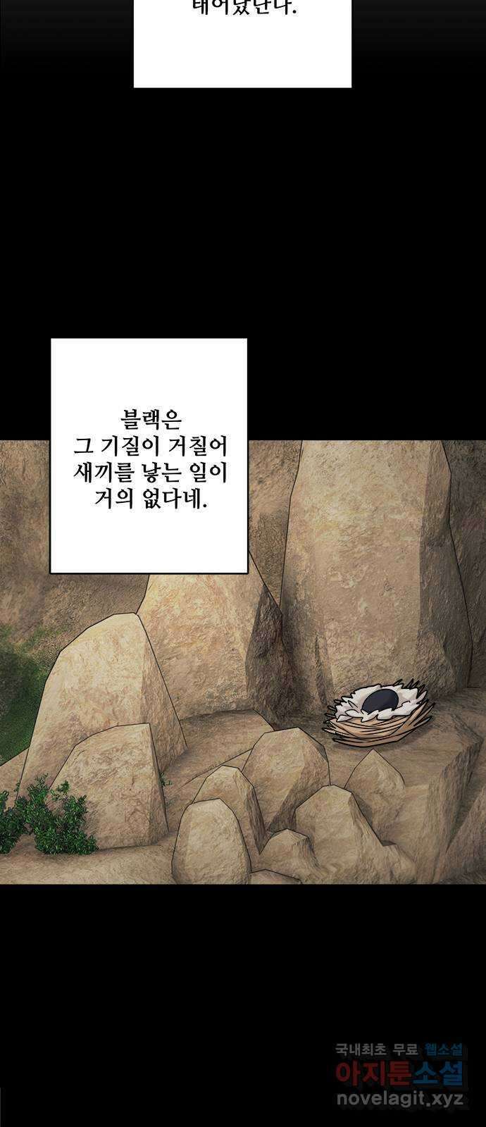 마녀와 용의 신혼일기 109화 37
