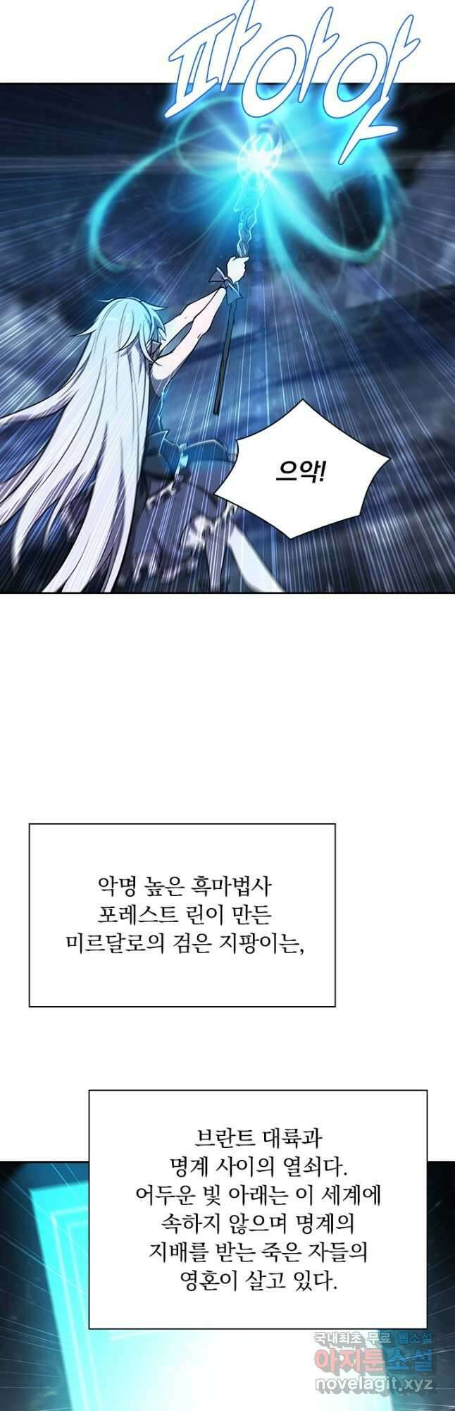 서큐버스가 되어버린 기사님 145화 18