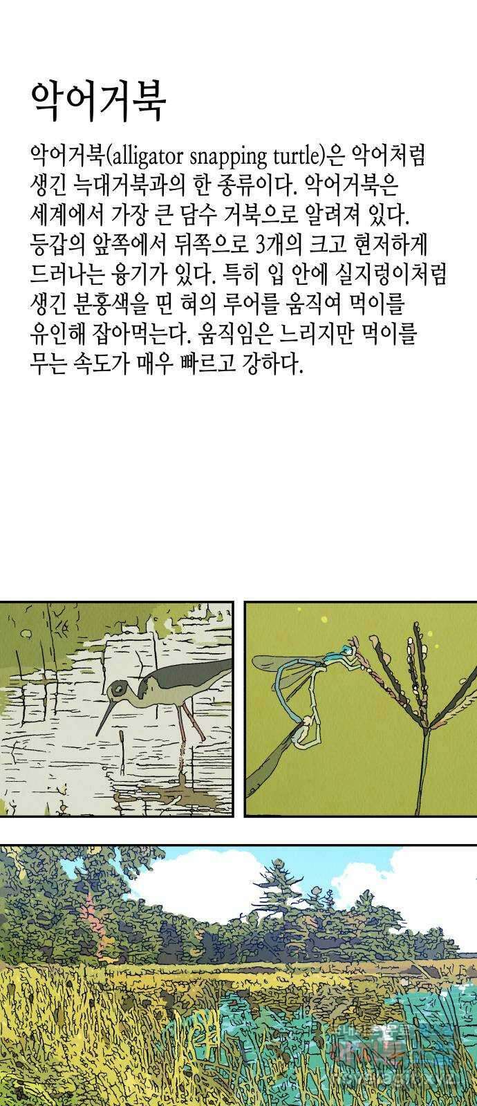 반짝반짝 작은 눈 82화 2