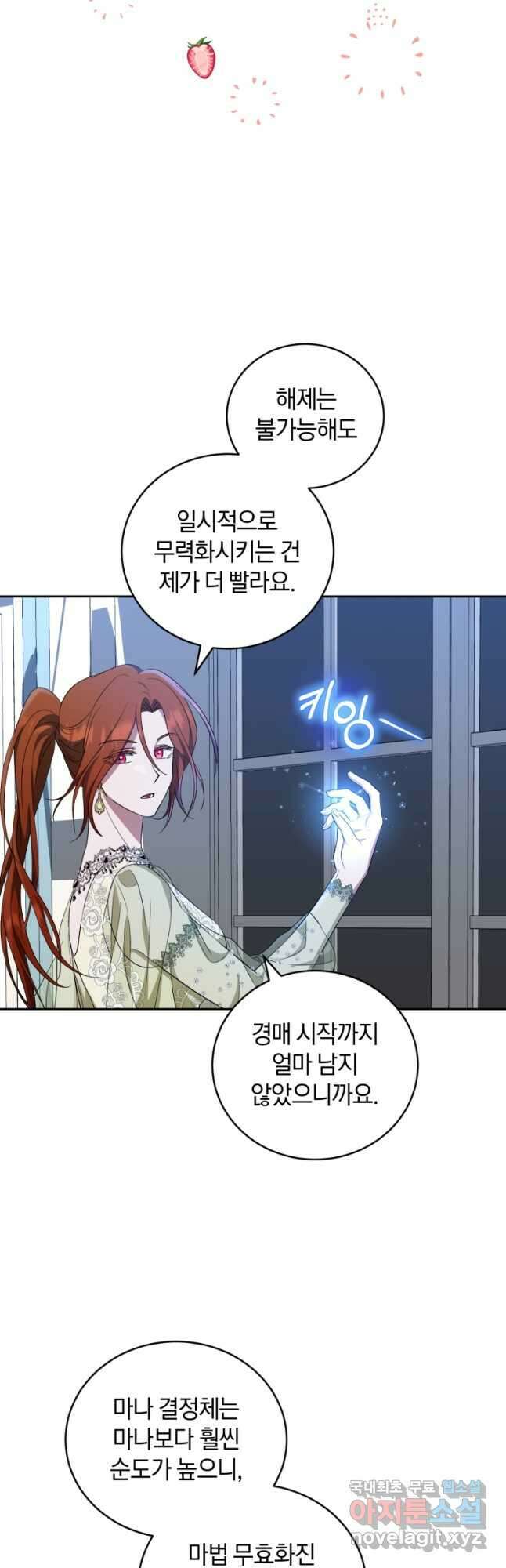 빼앗긴 가문의 주인이 되려 합니다 27화 32