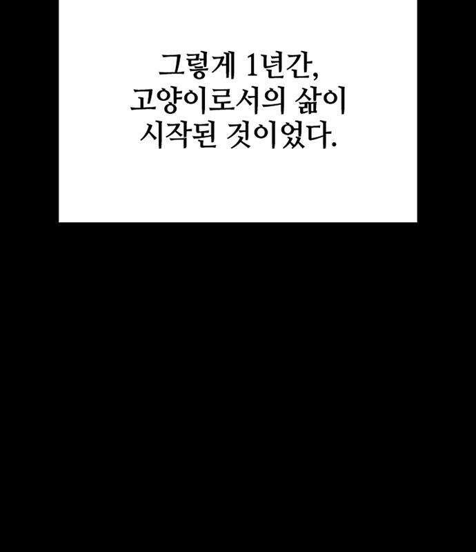 고양이 키스 1화 115
