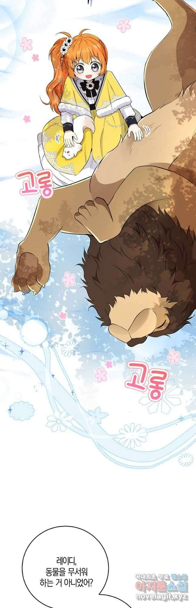 아기 다람쥐가 다 잘해요 41화 18