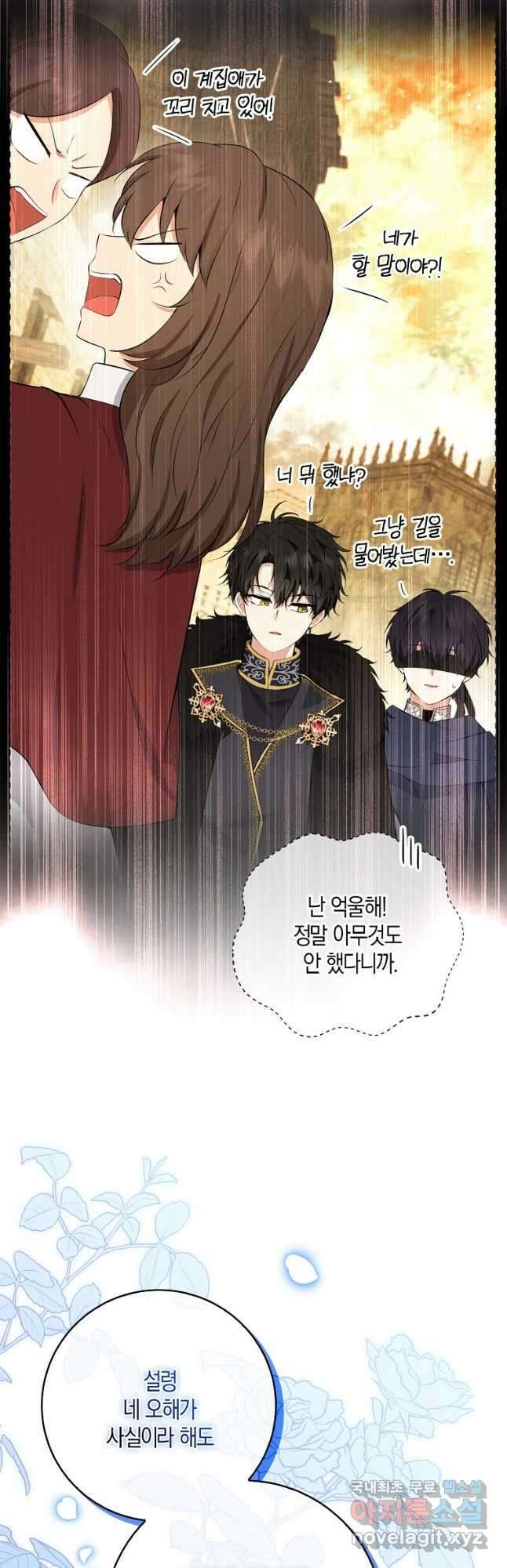 아기 다람쥐가 다 잘해요 41화 42