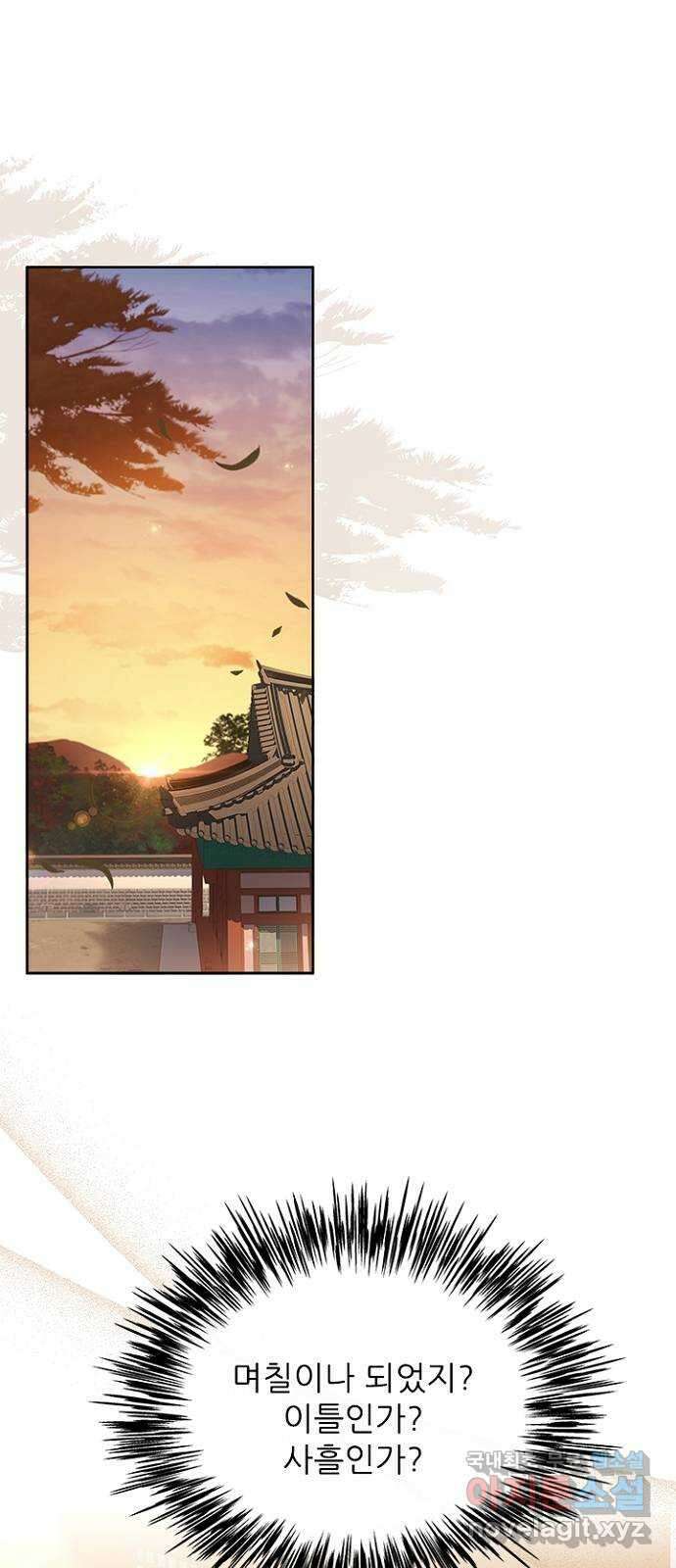 해시의 신루 46화 : 잡아라 1