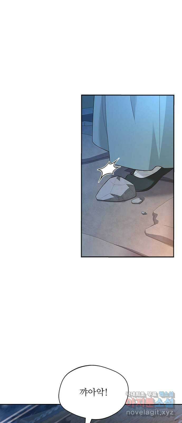 해시의 신루 46화 : 잡아라 26