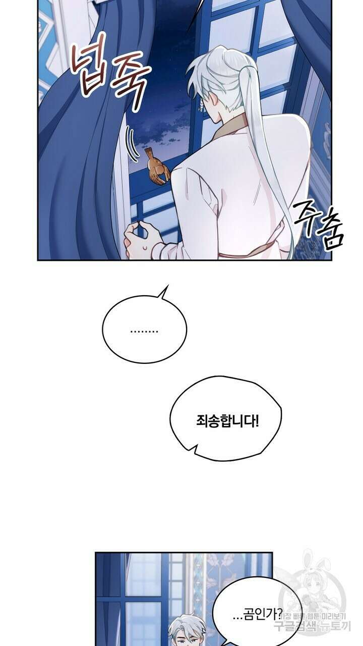 공작님의 곰인형 34화 3