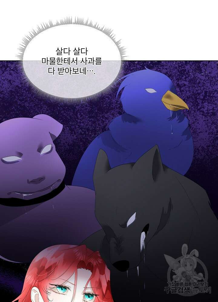 남주를 임시보호 중입니다 33화 14