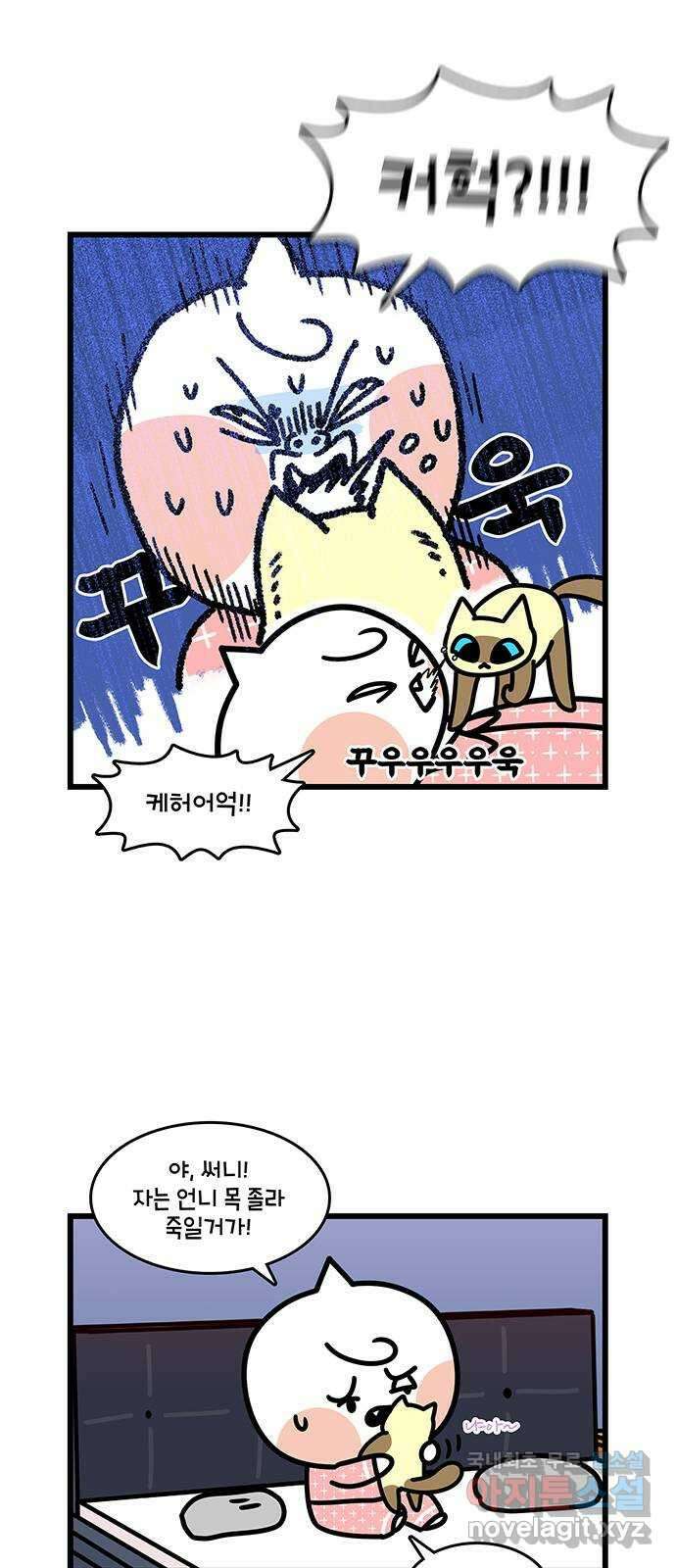 윌유메리미 시즌2 656화 고양이 약먹이기 어려워 2