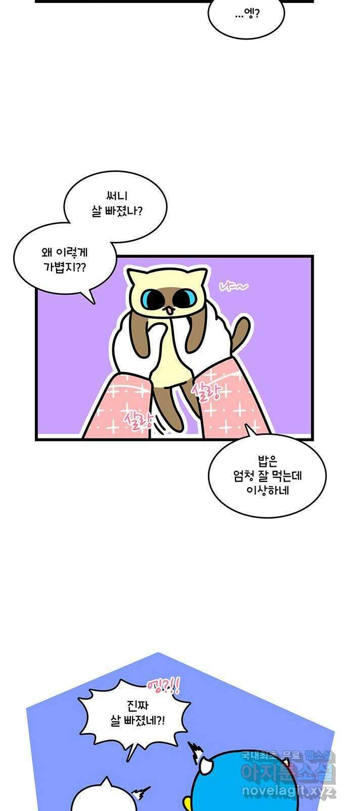 윌유메리미 시즌2 656화 고양이 약먹이기 어려워 3