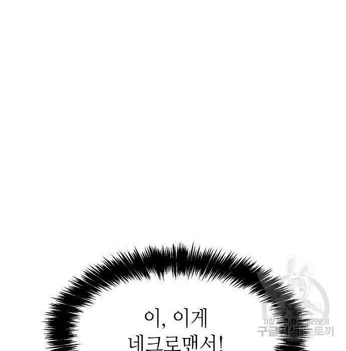 나 혼자 네크로맨서 85화 28