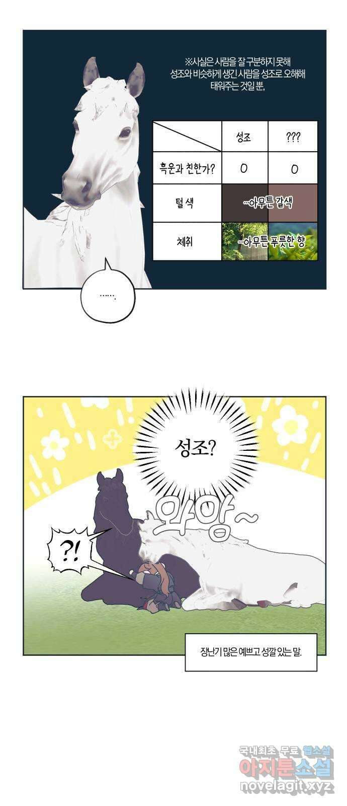 다비, 아찔하게 흐르는 시즌1 특별편 후기 5