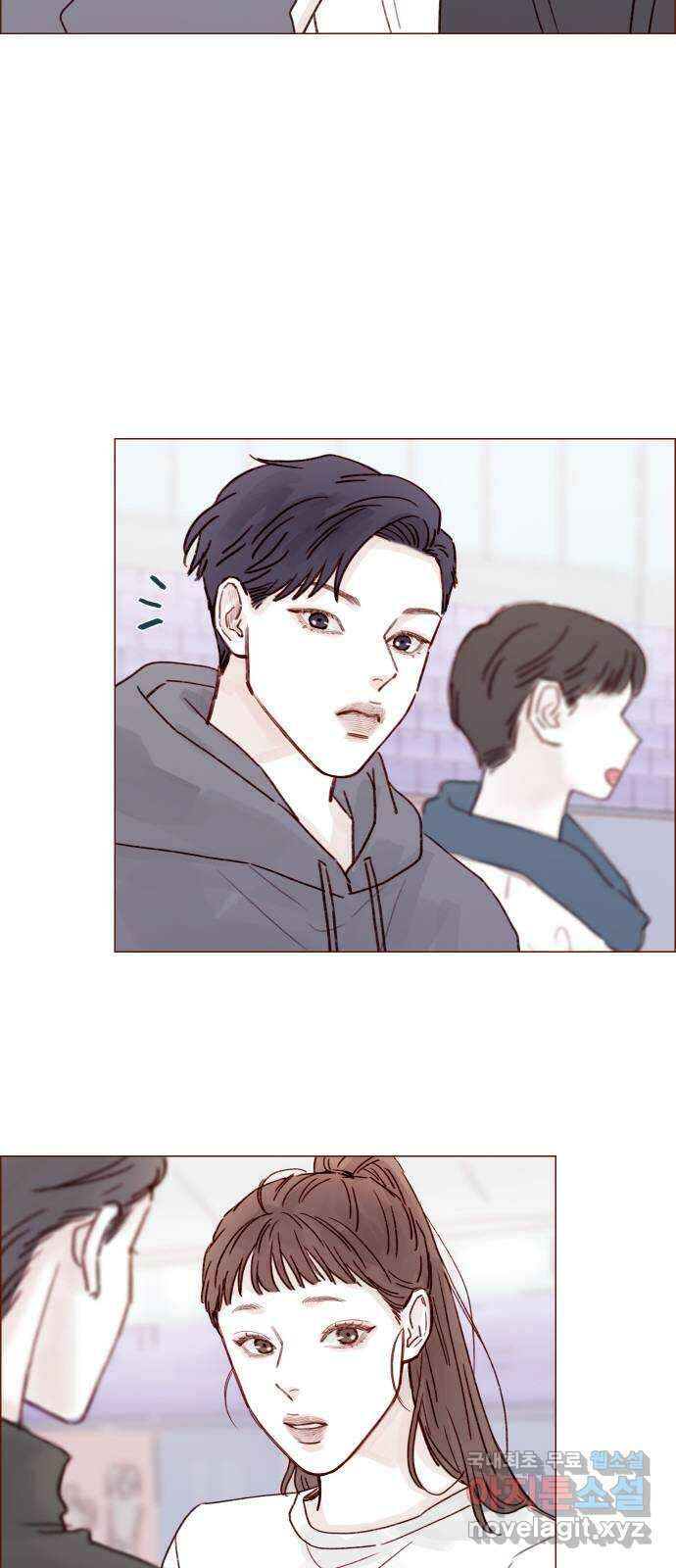 홍시는 날 좋아해! 236화 : 너 요즘 나 의식하는구나? 29