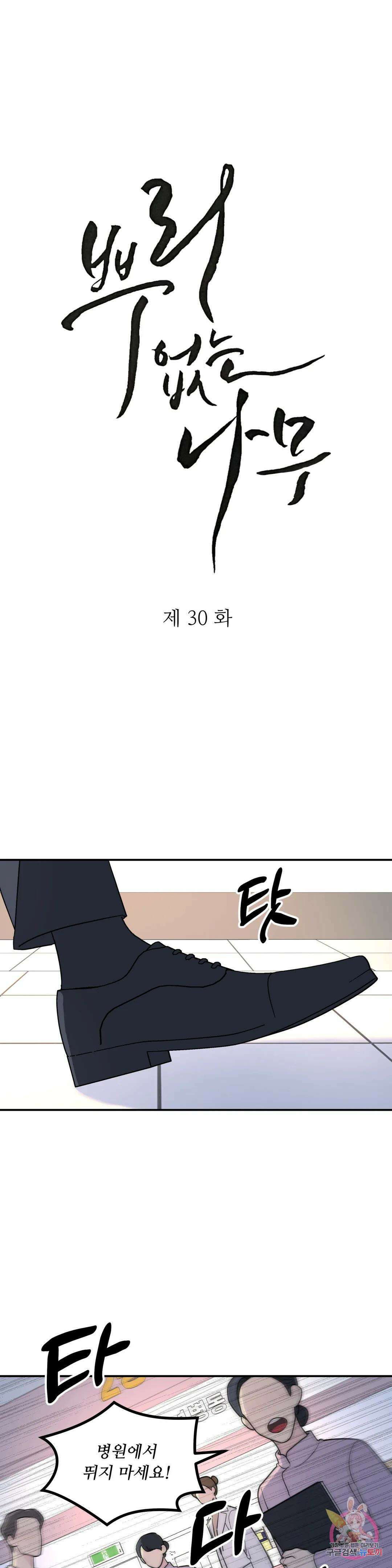 뿌리 없는 나무 30화 1