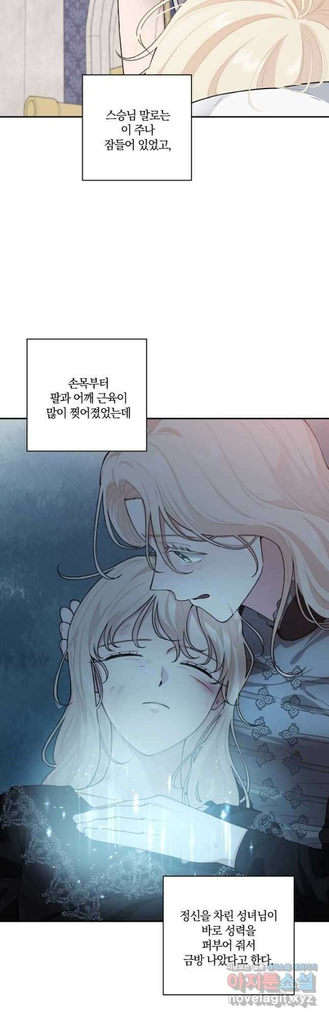 TL 소설 속 시녀가 되었습니다 84화 2