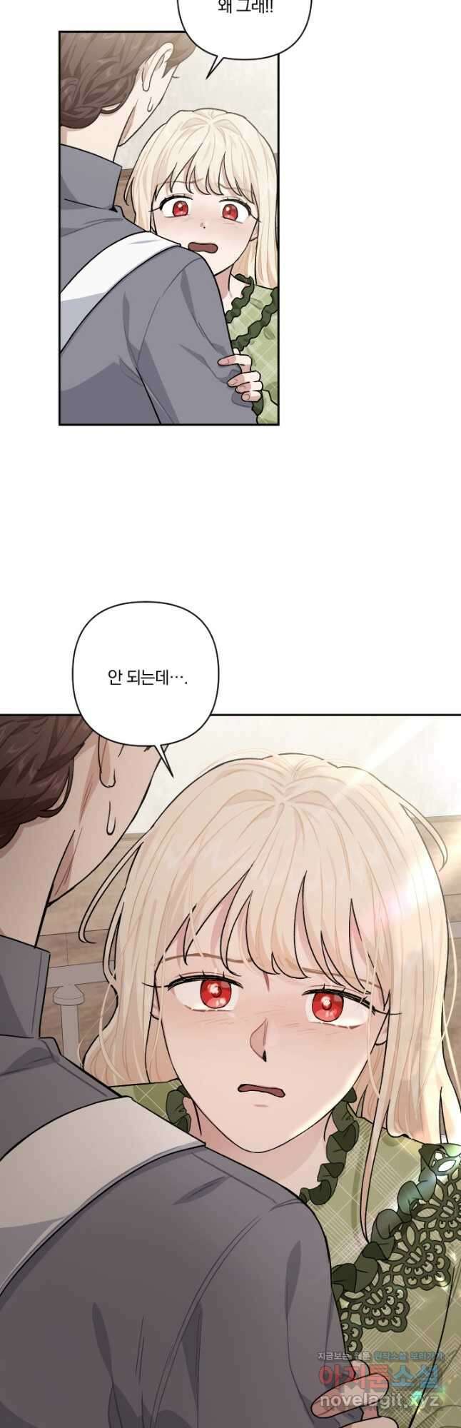 TL 소설 속 시녀가 되었습니다 84화 39