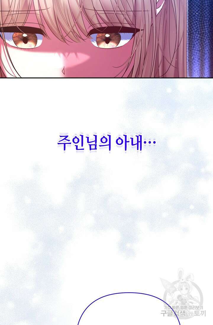 애완 시녀 29화 14