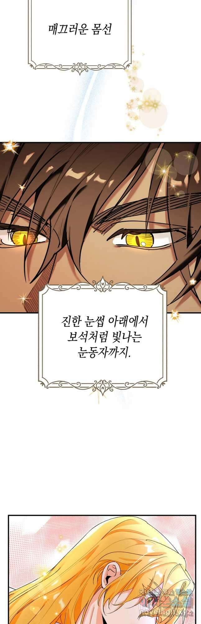 대공님의 애완 수인 33화 17
