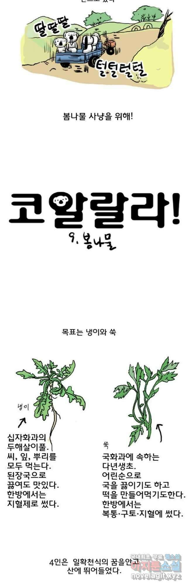 코알랄라 9화 봄나물 2