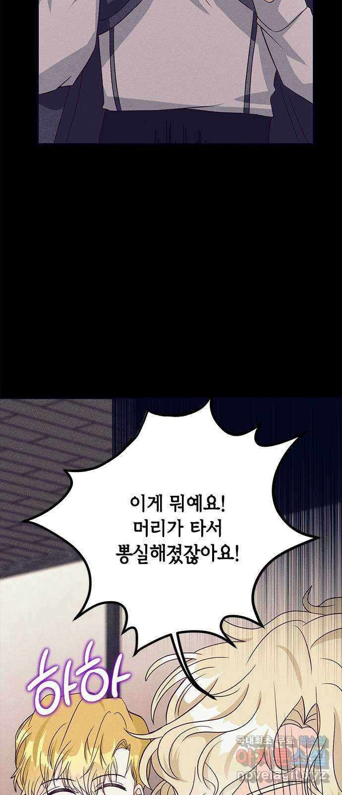 어느 백작 영애의 이중생활 48화 21