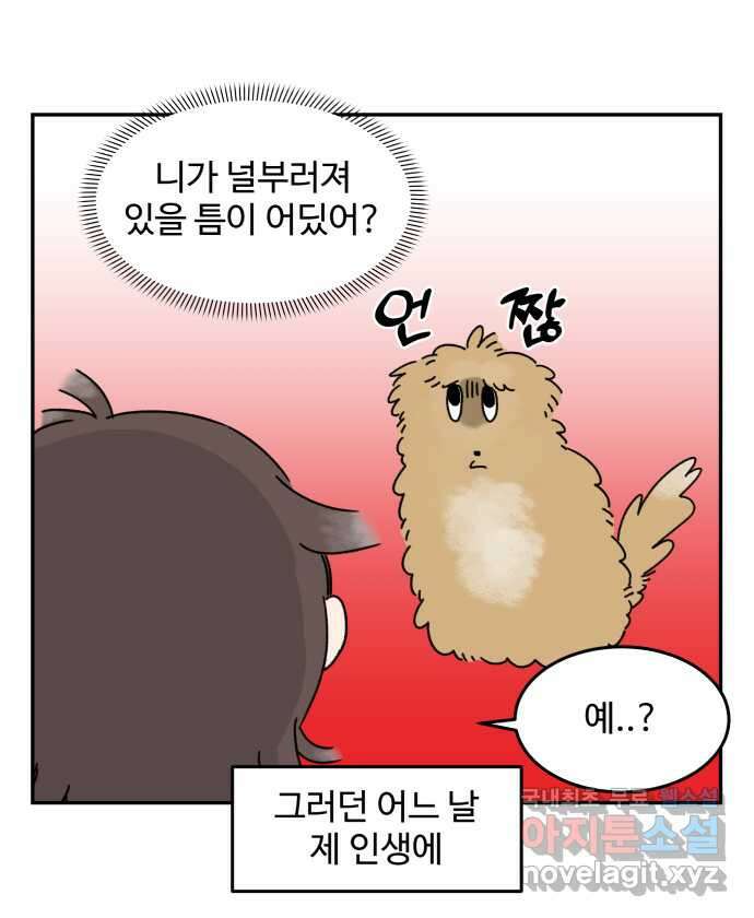 강아지는 멍멍하고 짖지 않아! 1화 - 소개합니다 9