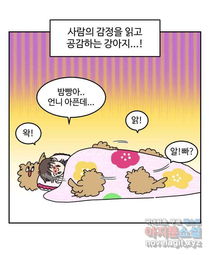 강아지는 멍멍하고 짖지 않아! 1화 - 소개합니다 13