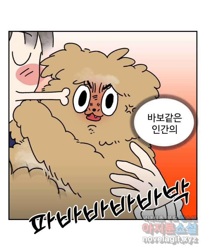 강아지는 멍멍하고 짖지 않아! 1화 - 소개합니다 21
