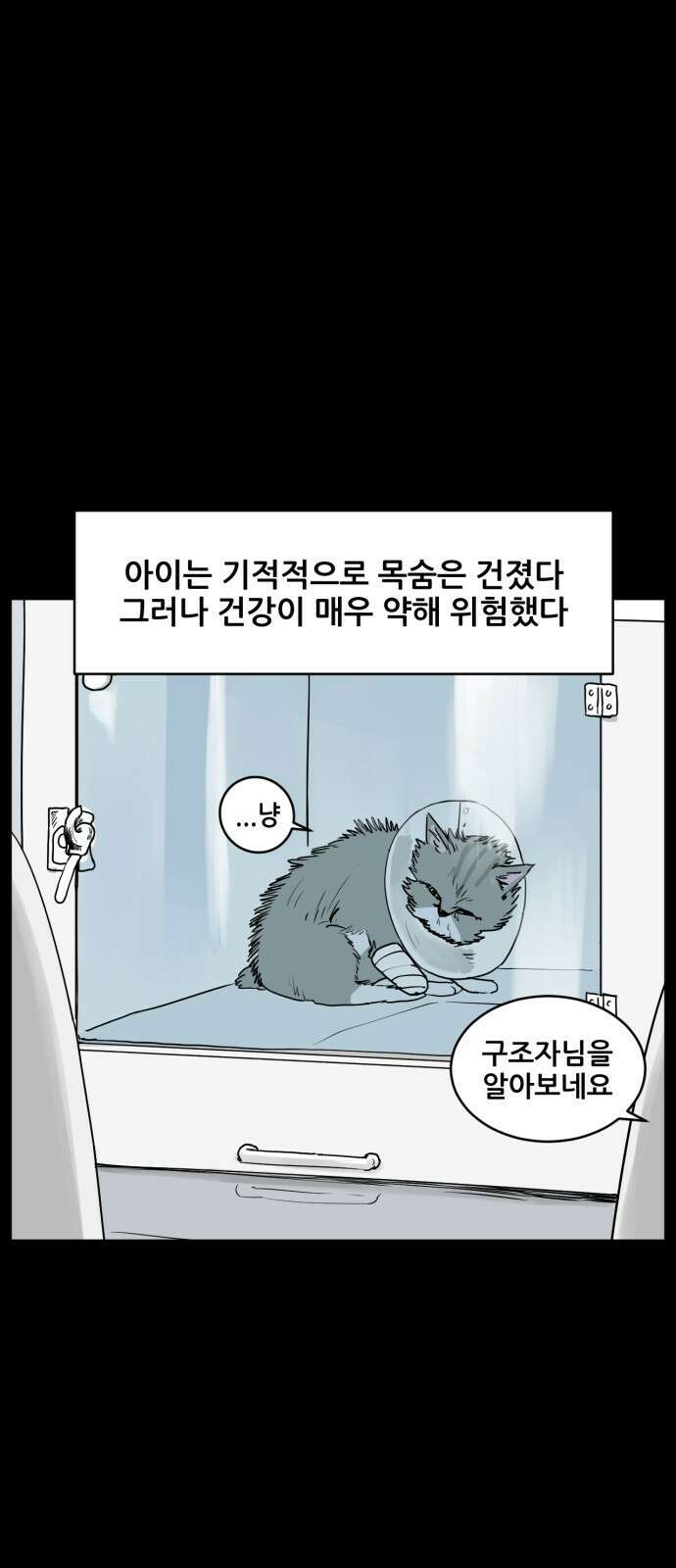 괴양이 1화 20