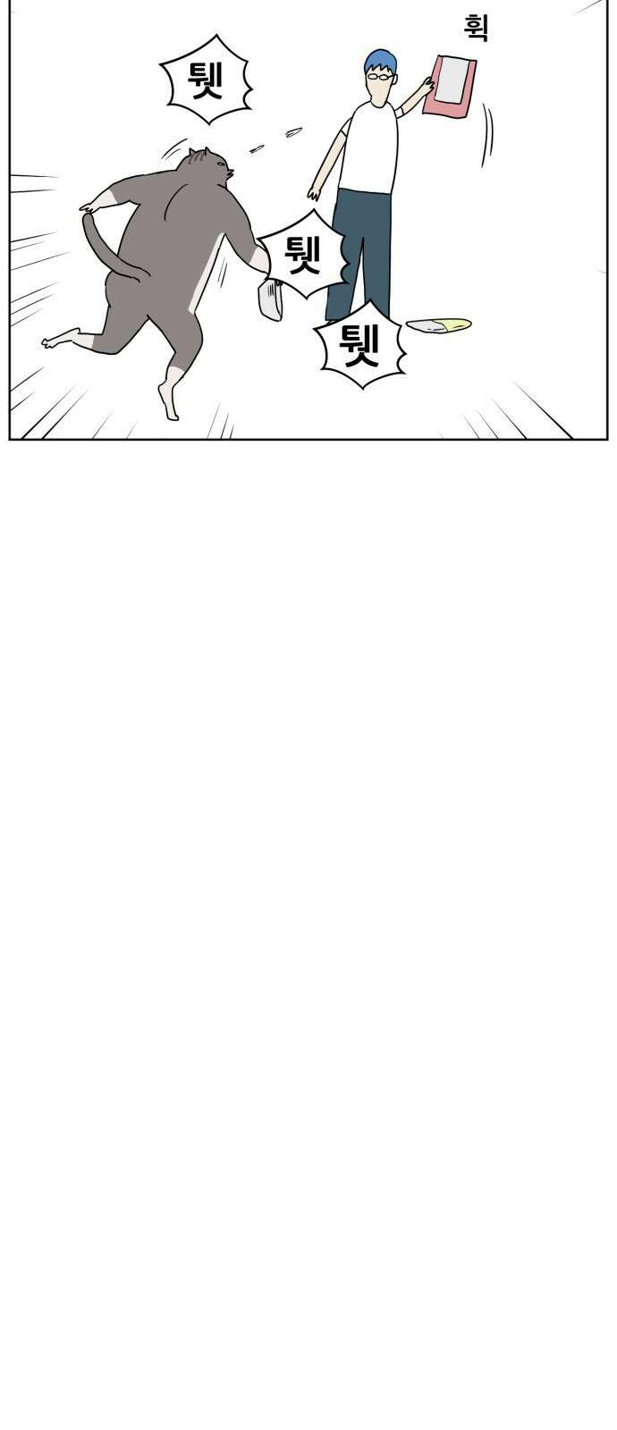 괴양이 1화 41
