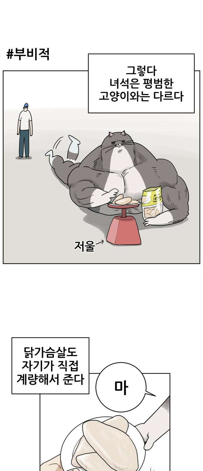 괴양이 1화 42