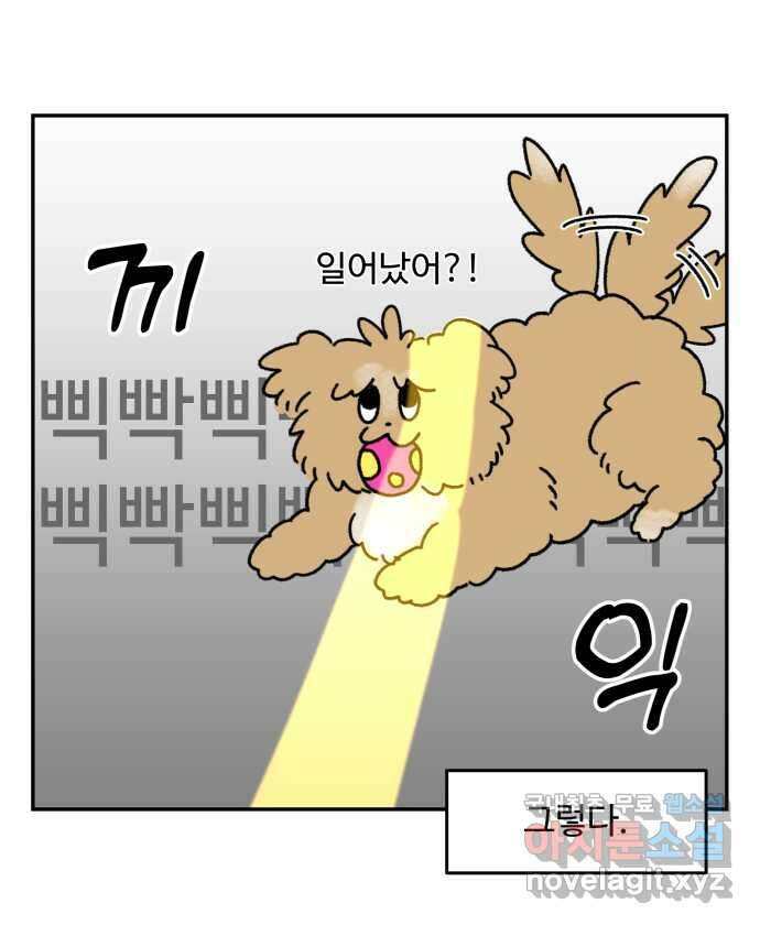 강아지는 멍멍하고 짖지 않아! 5화 - 놀아줘, 근데 24시간 5